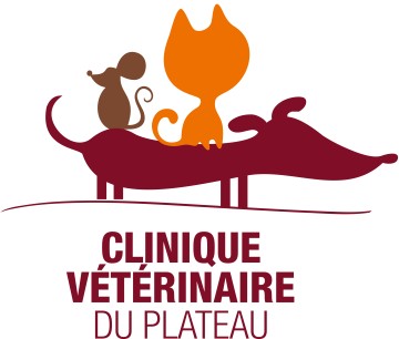 Clinique Veterinaire Du Plateau