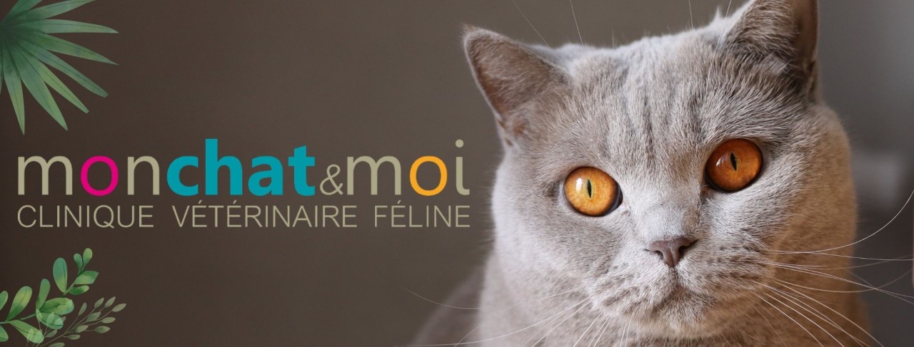 Clinique Vétérinaire Féline Mon chat & Moi