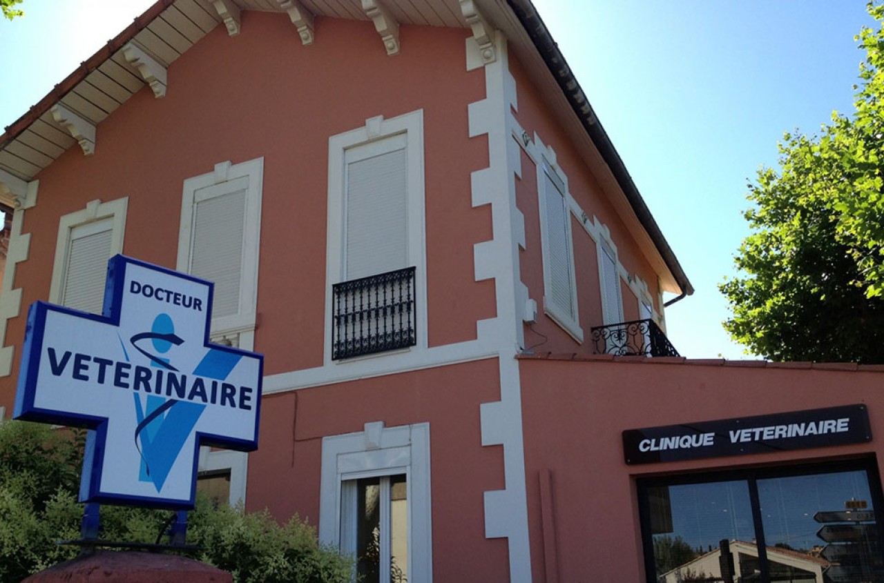Dr VETERINAIRE CDI/CDD proche Marseille (F/H) Clinique Veterinaire de Plan De Cuques, Plande