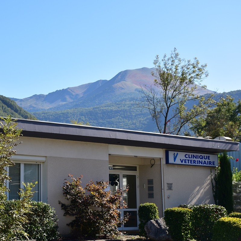 Clinique Vétérinaire Du Château