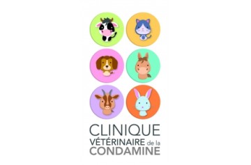 Clinique Veterinaire De La Condamine