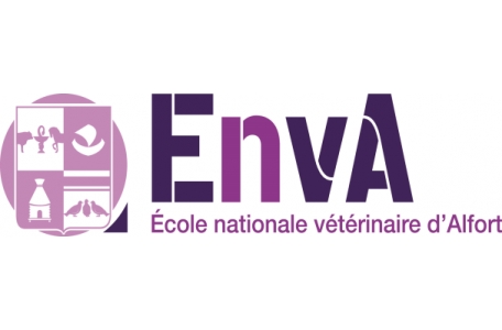 Ecole Nationale Vétérinaire D'alfort
