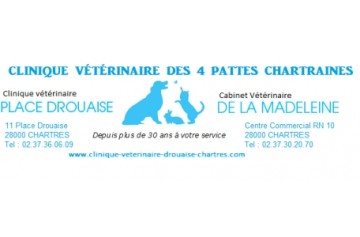 Selarl Veterinaire Des 4 Pattes Chartraines