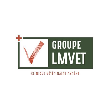 Groupe Lmvet
