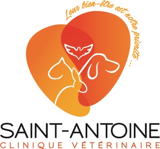Clinique Vétérinaire Saint-Antoine