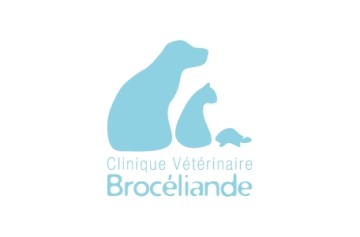 Cv Broceliande