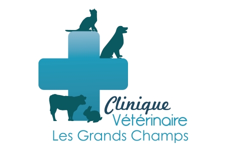 Clinique Vétérinaire Du Grand Champ