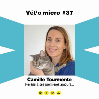 Épisode #37 - Camille Tourmente - Revenir à ses pr...