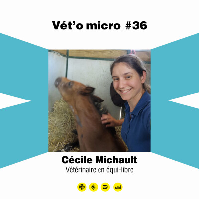 Épisode #36 - Cécile Michault - Vétérinaire en équ...